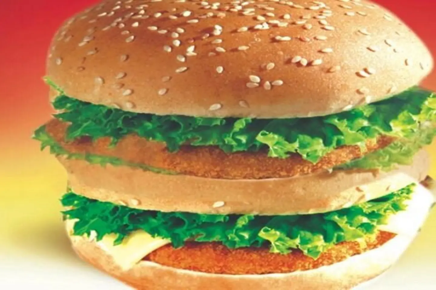 دجاج رانش كبير