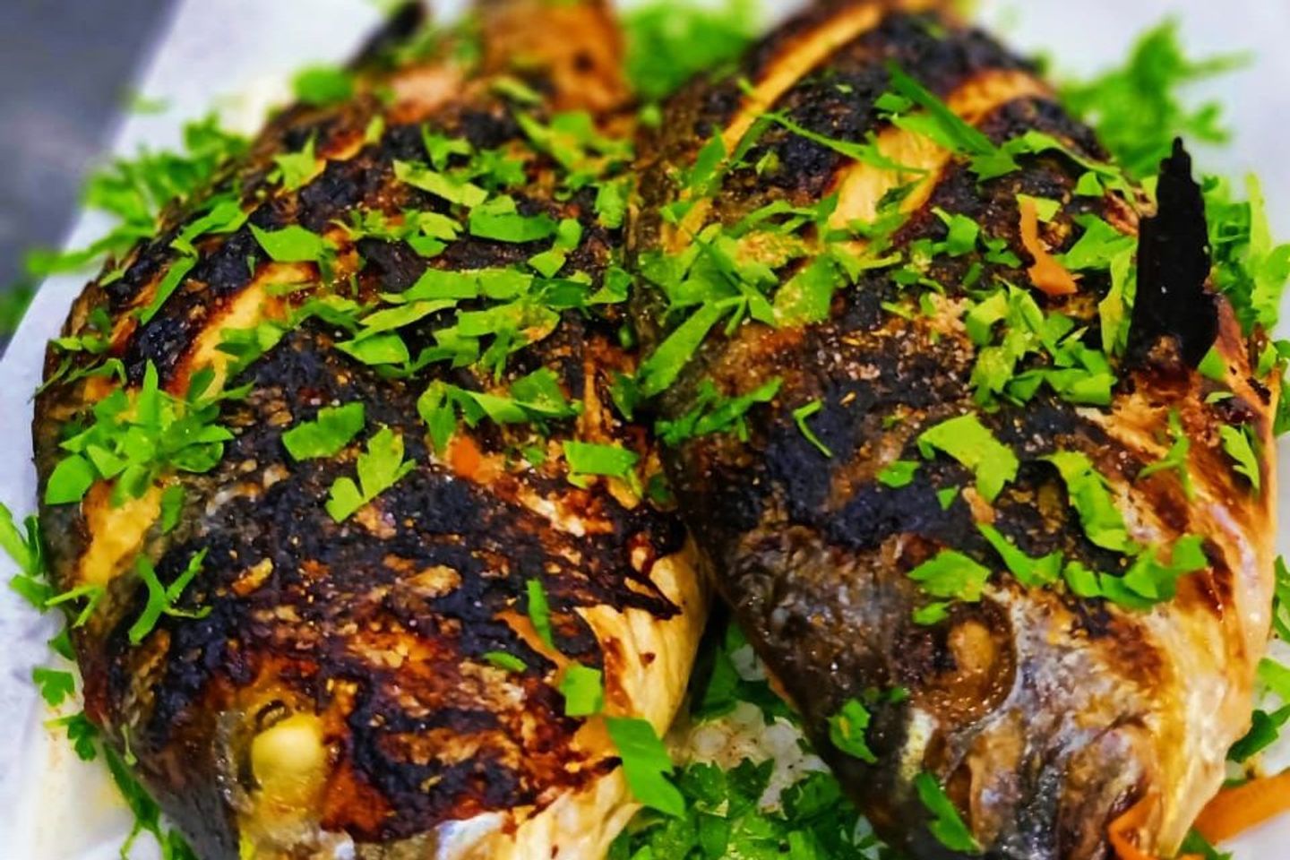 Dennis (Grilled)