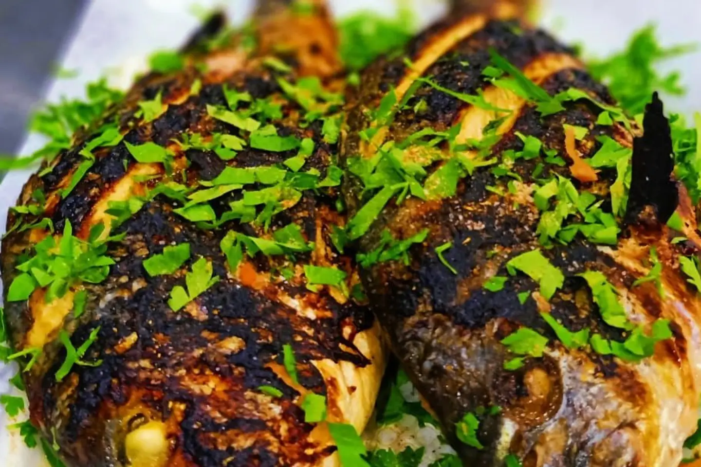 Denise (Grilled With Oil And Lemon)