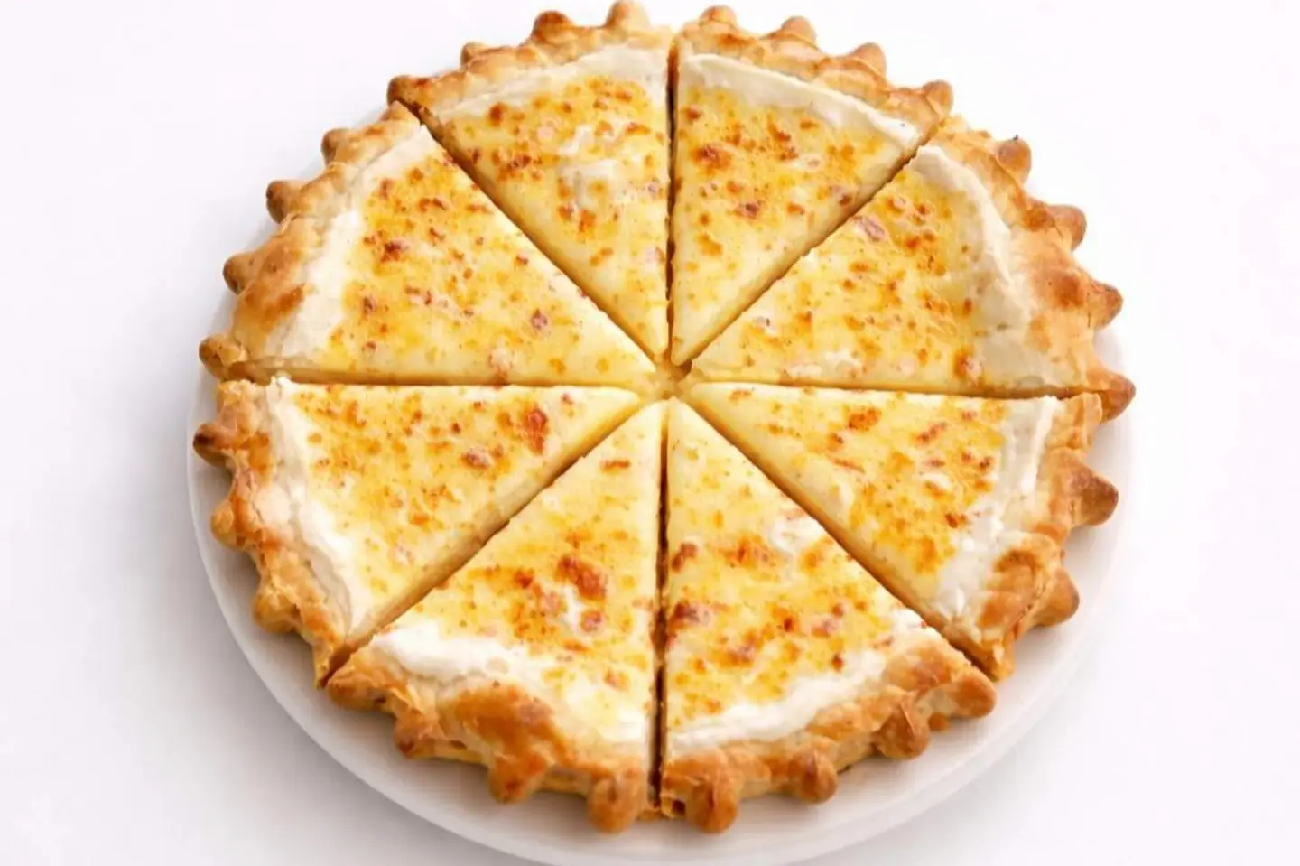 Ash Albulbul With Honey