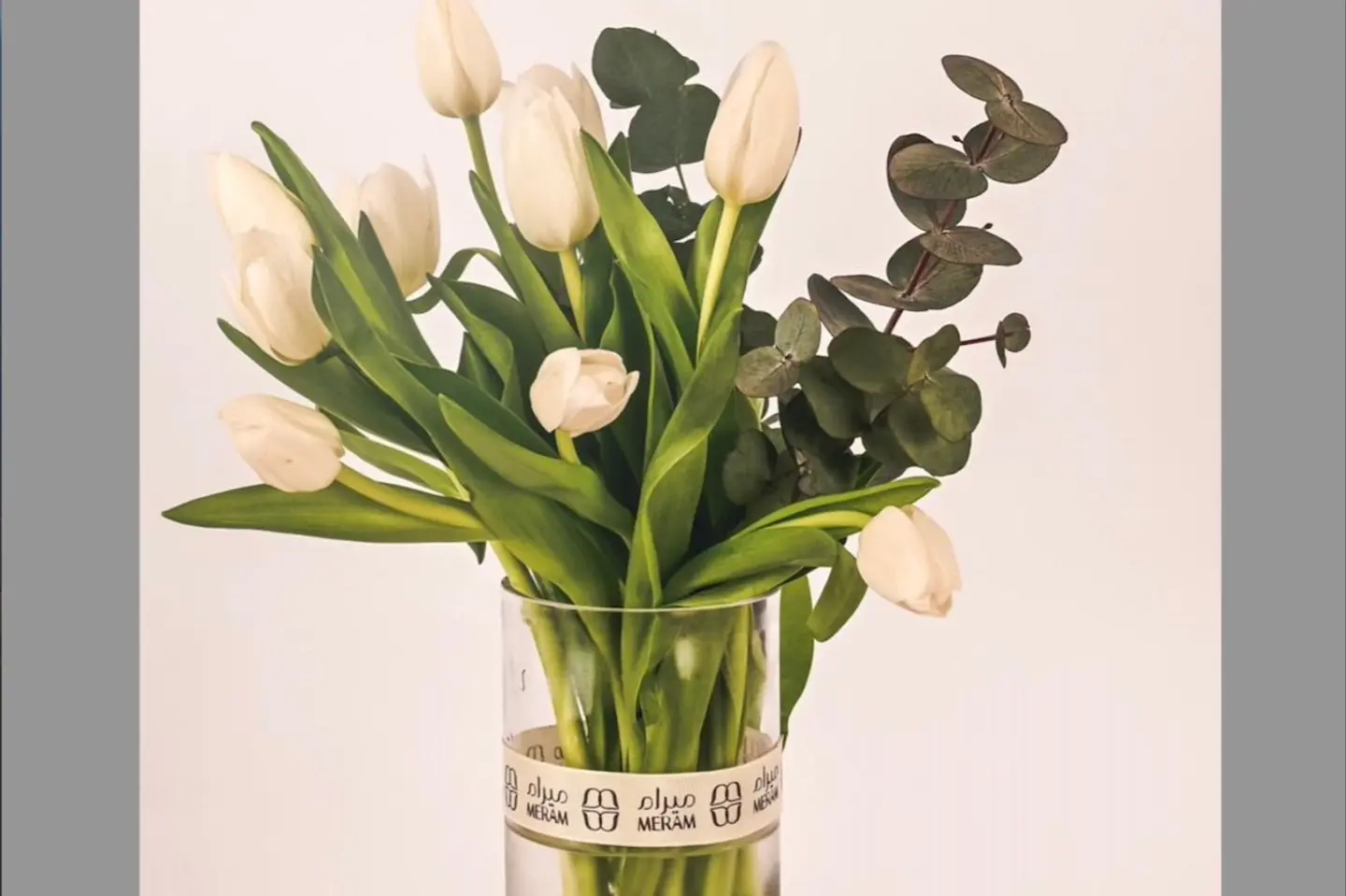 Vasa Tulip