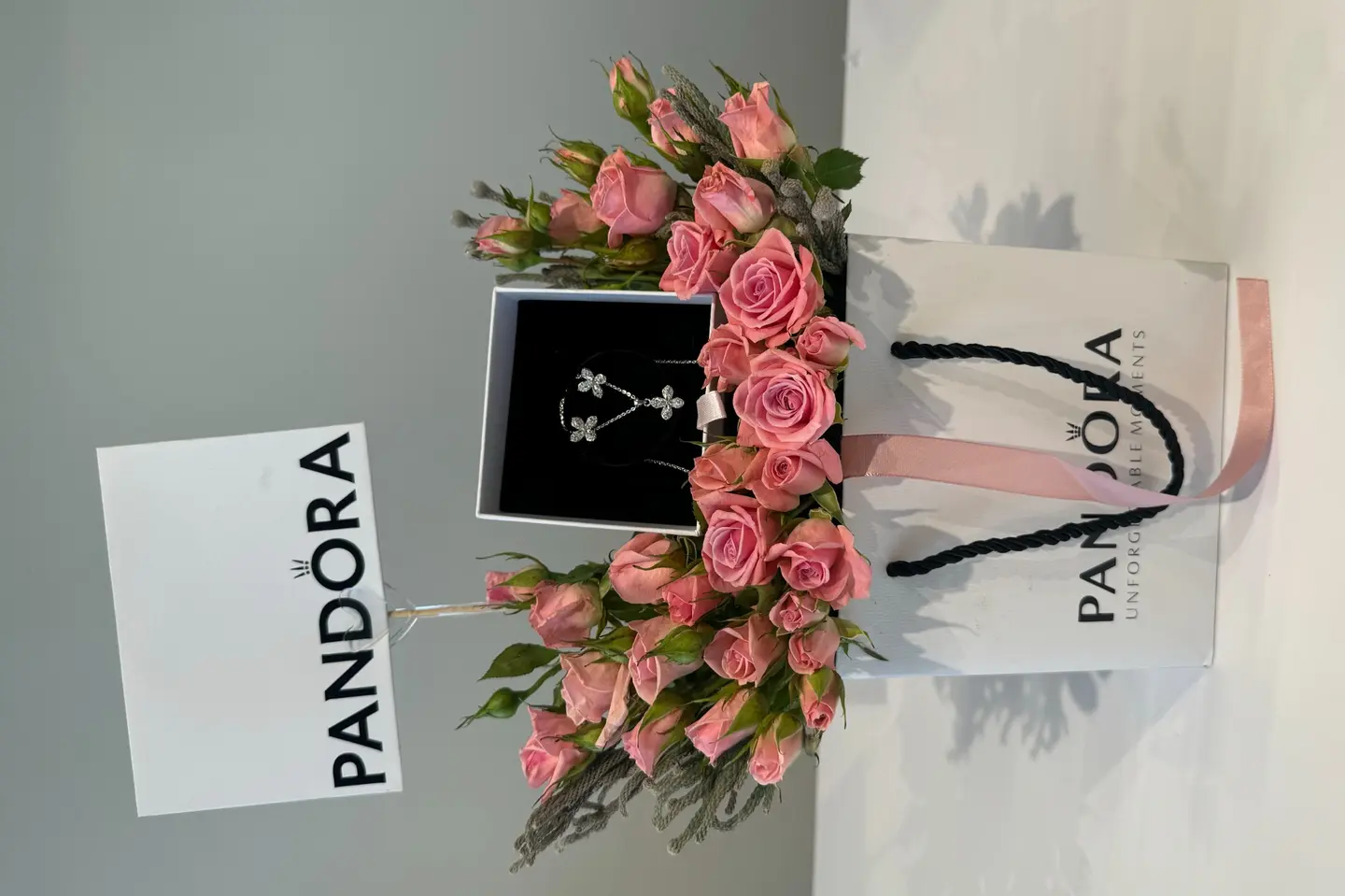Pandora Necklace And Earrings With Roses