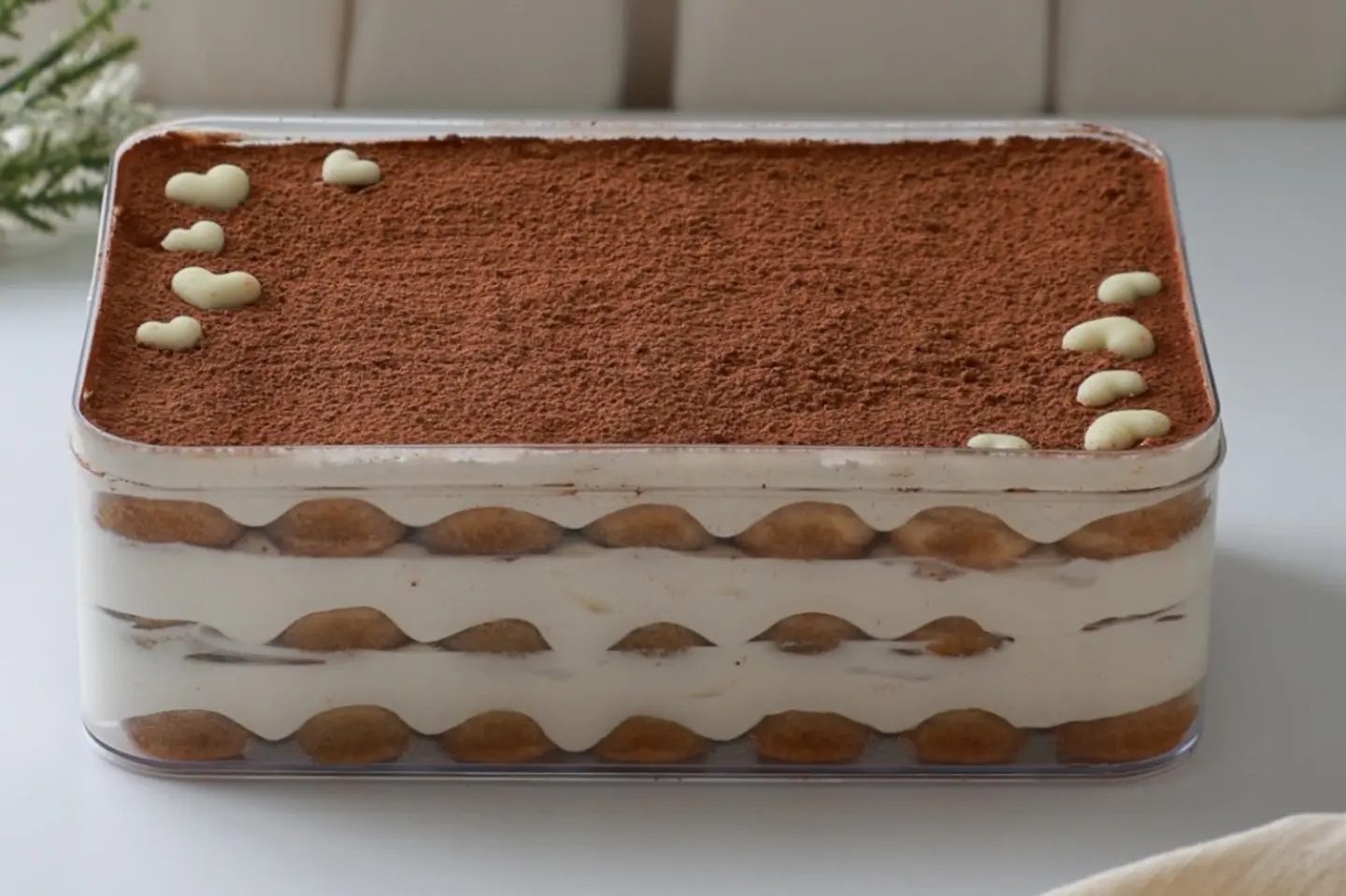 Tiramisu Medium