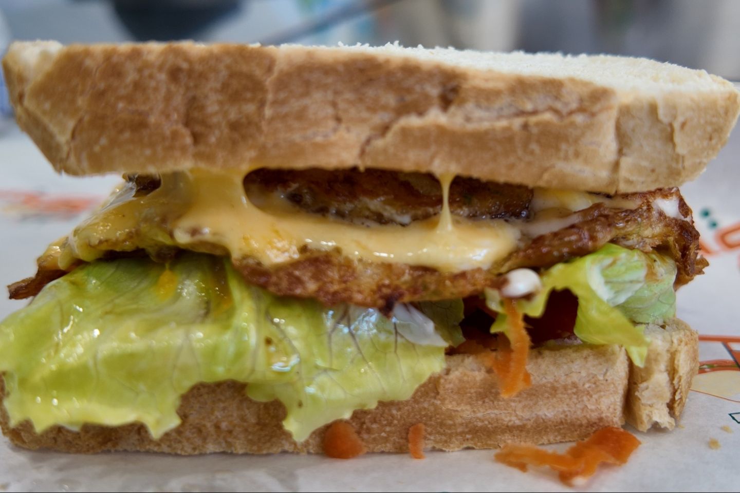 Vegetable Omelet Slices Bread