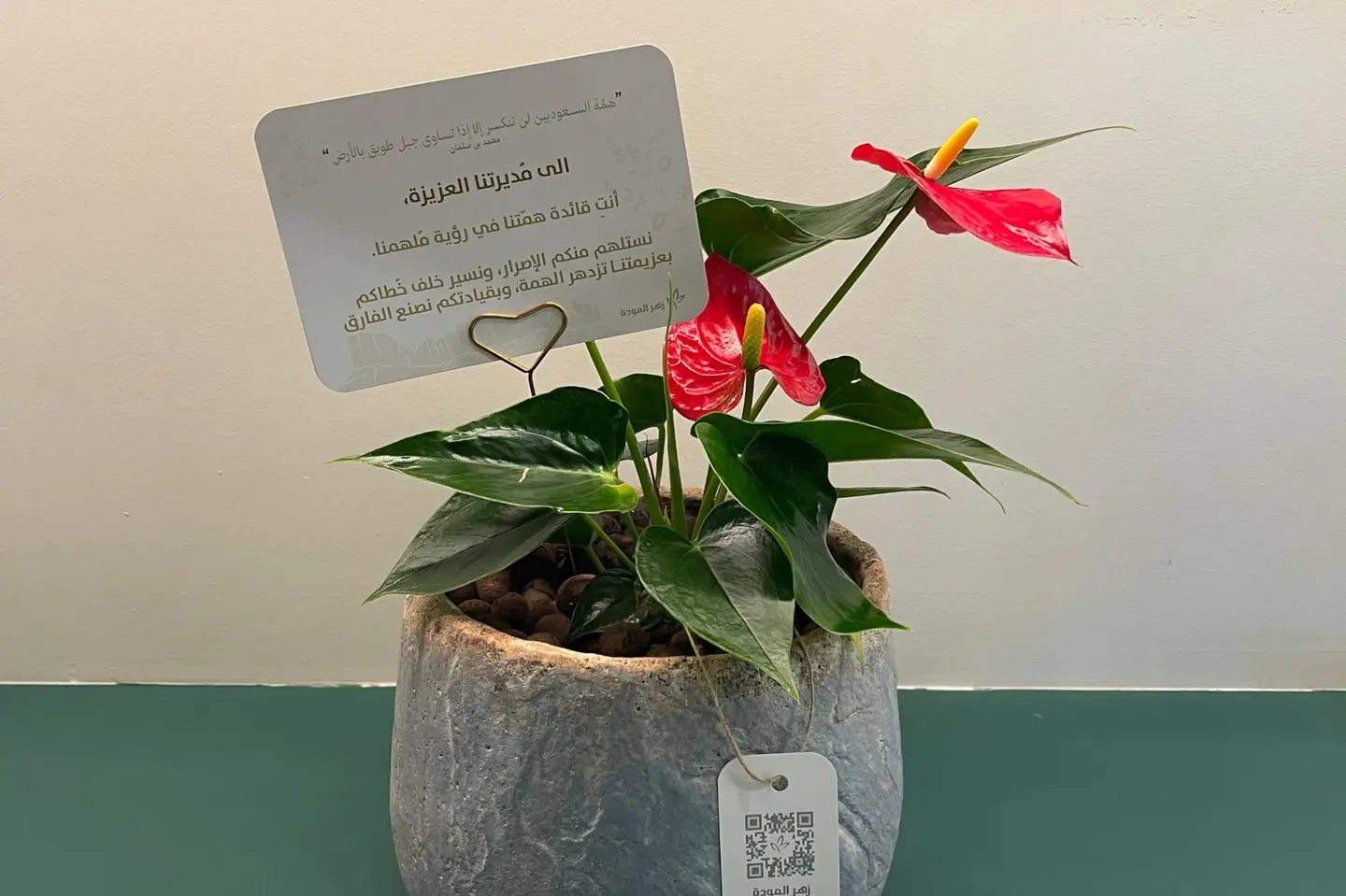 أنتِ قائدة همّتنا في رؤية مُلهمنا