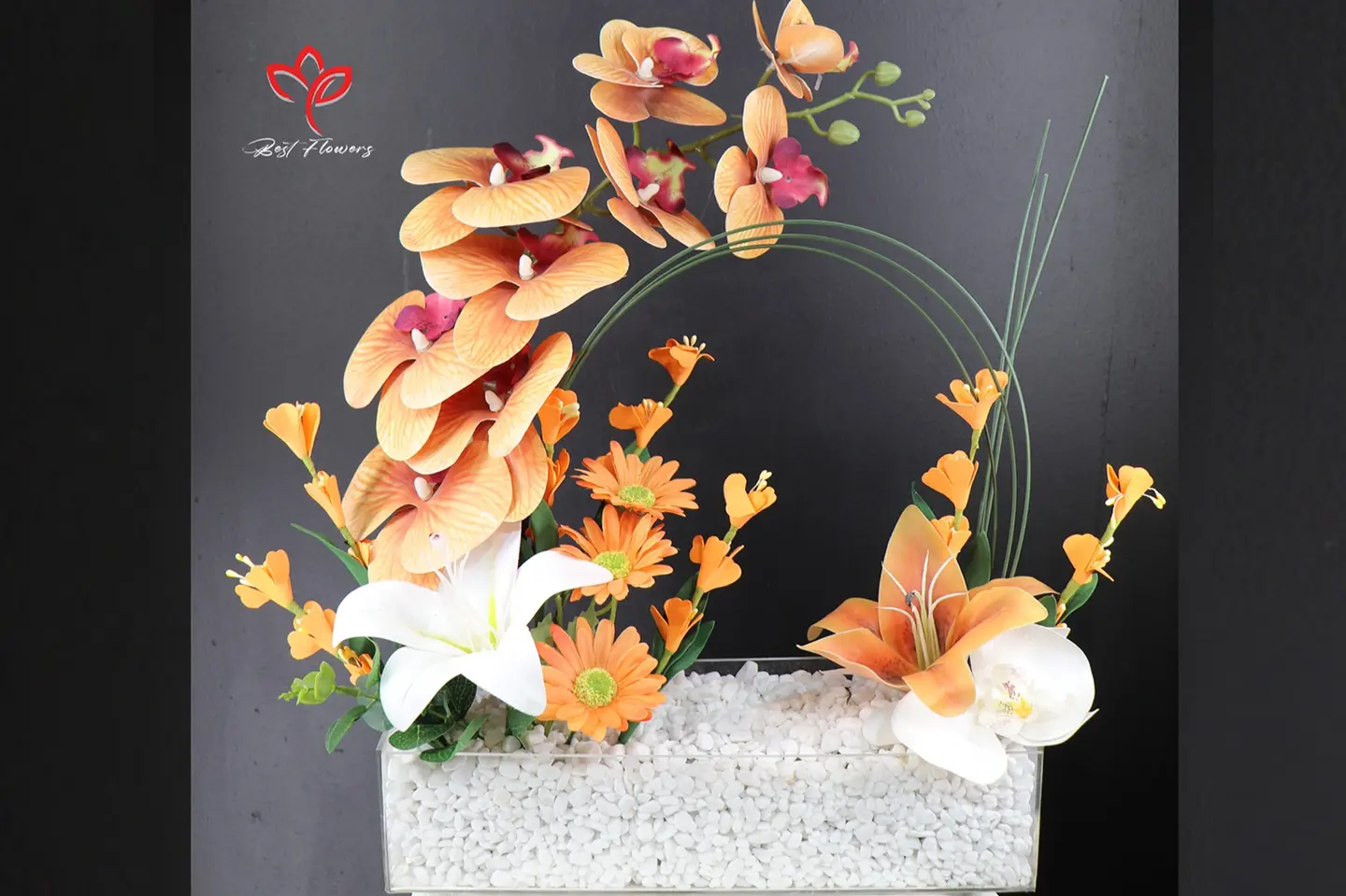 استند اكرلك