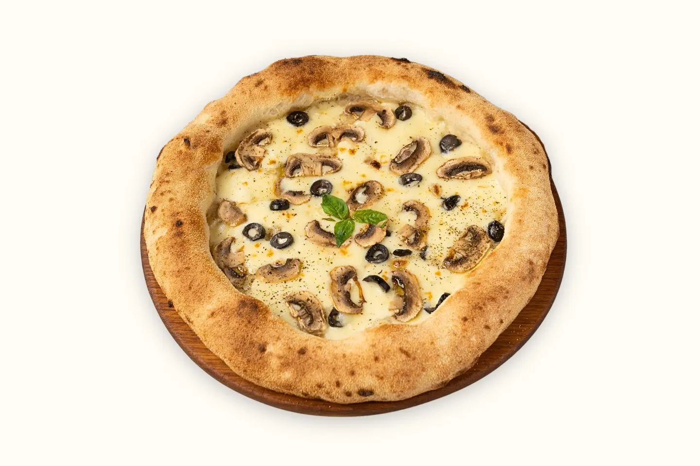 مشروم