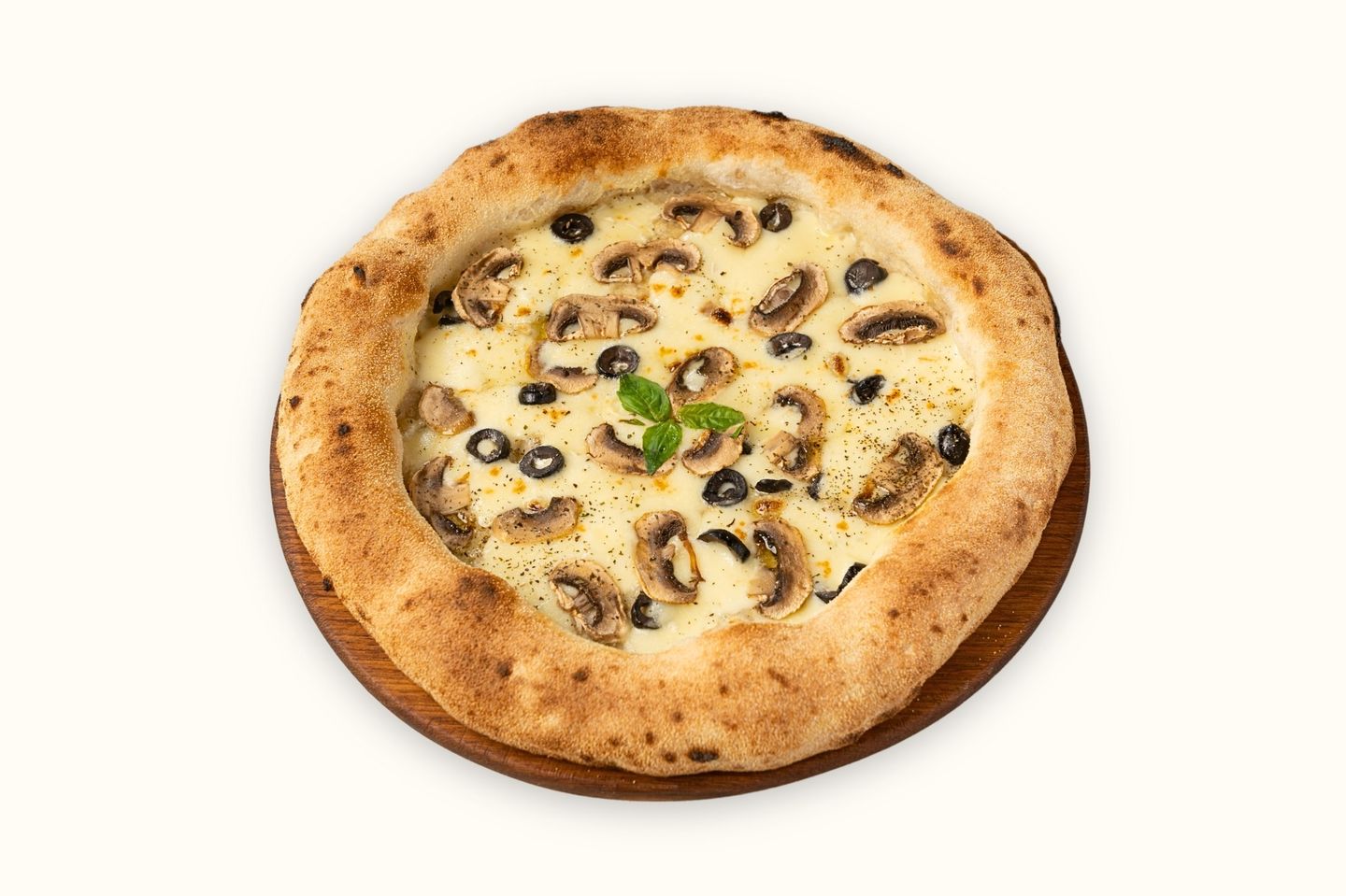 مشروم