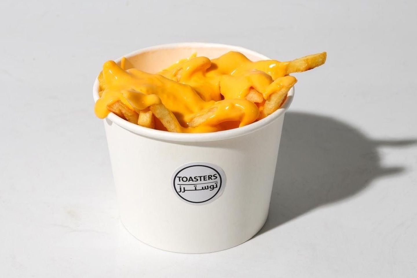 Cheesy Fries
