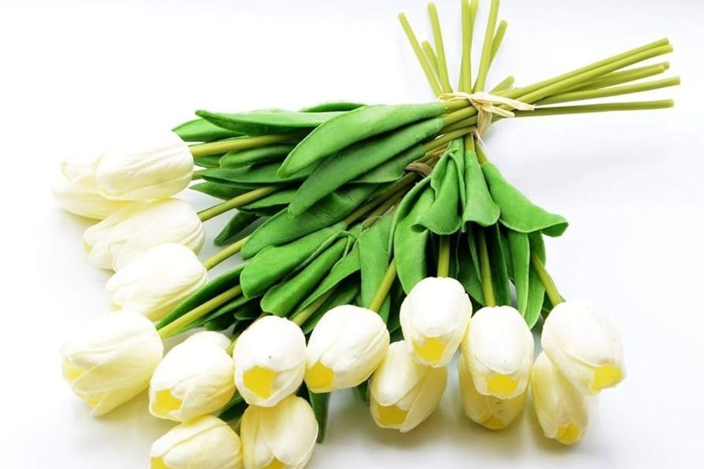 Tulip Rose
