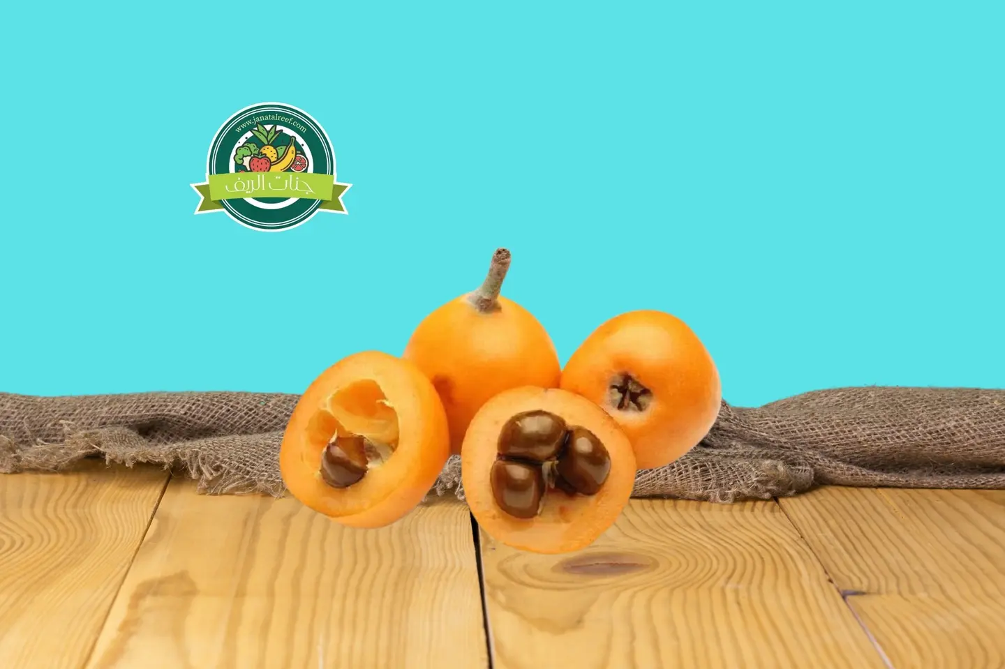 اكدونيا مصري - كيلو