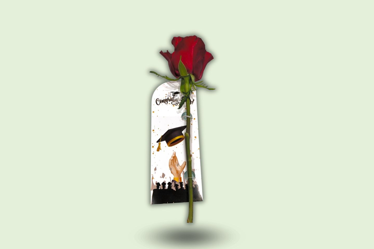 وردة تخرج