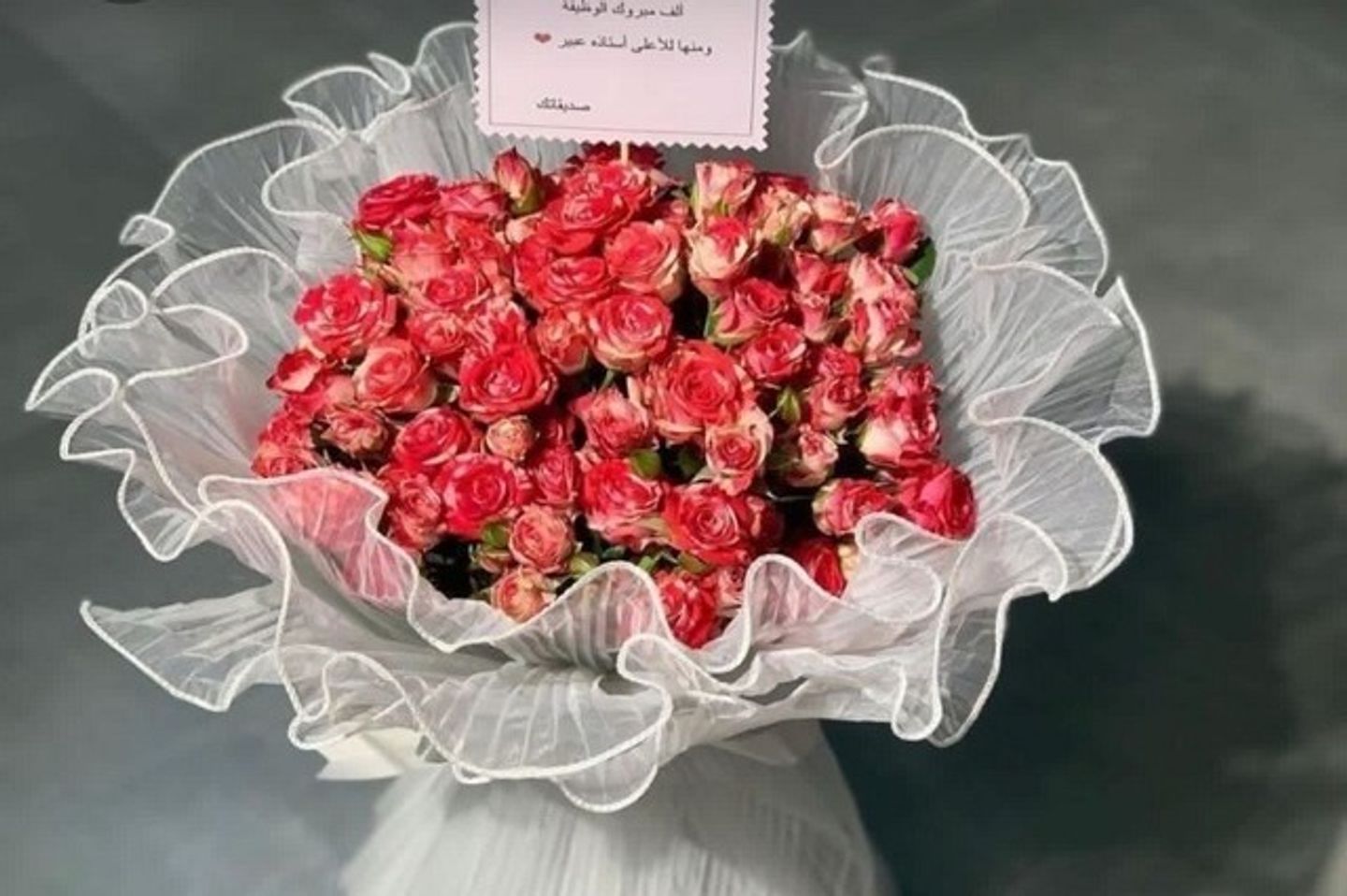 بلومي المحبة