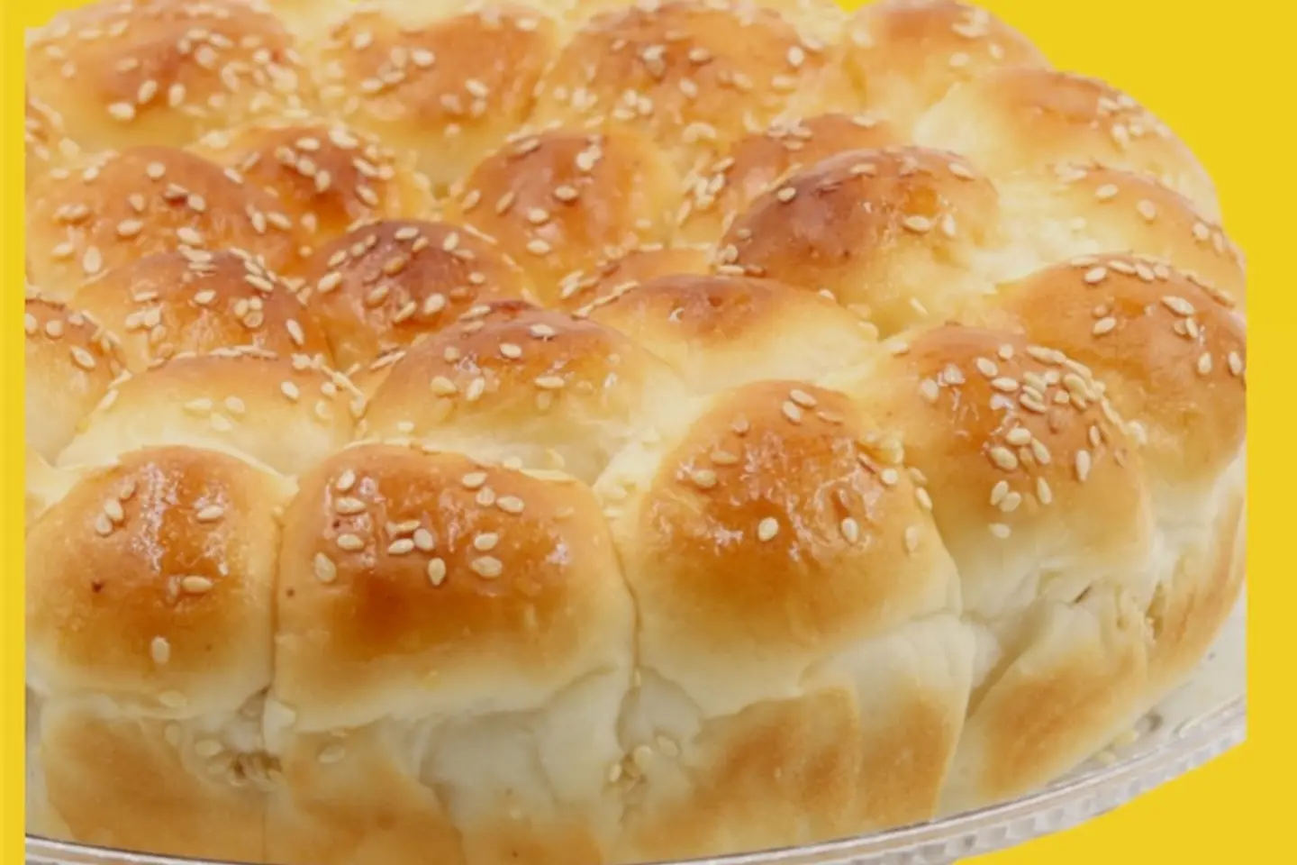 خلّية النحل