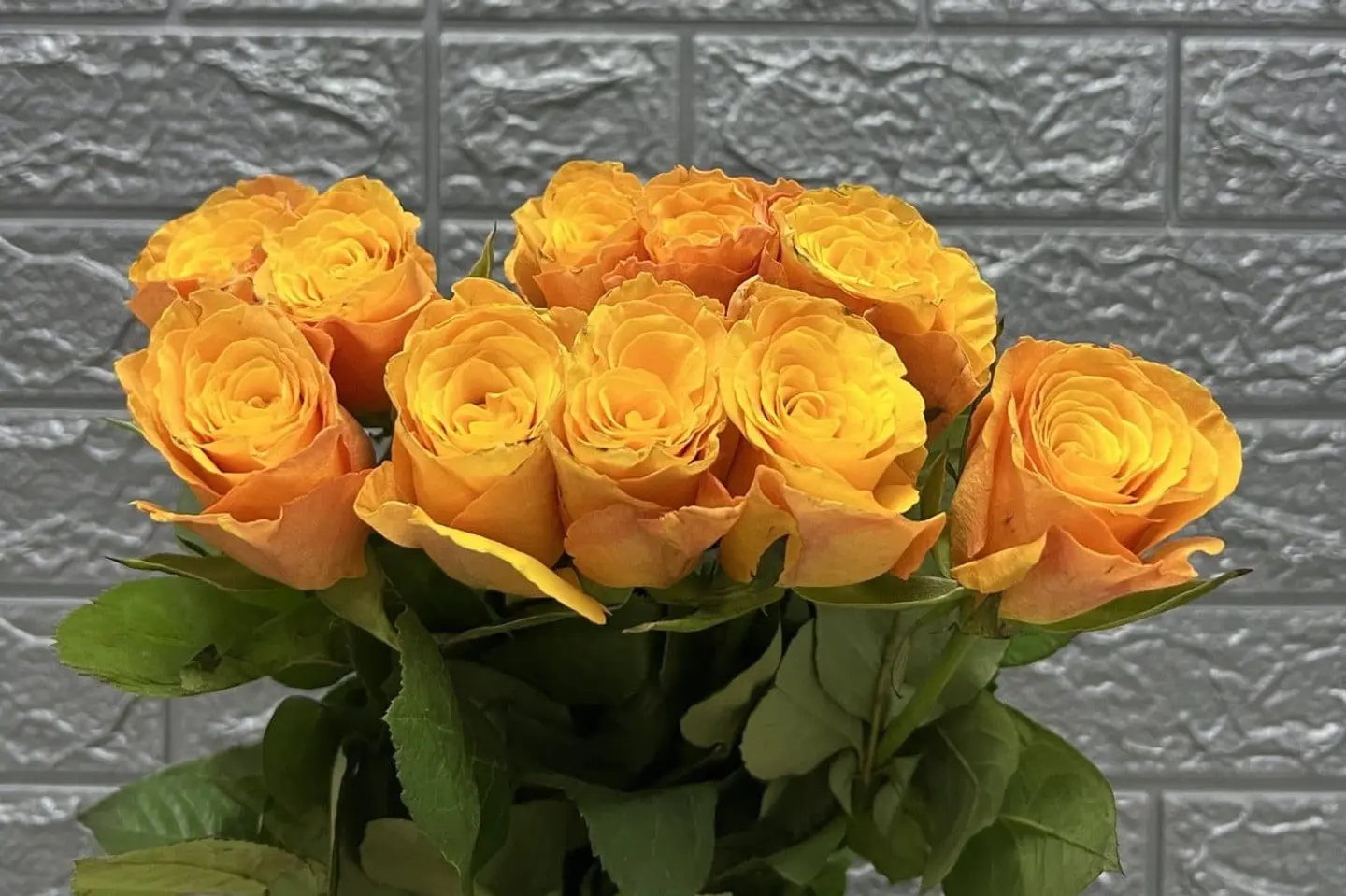 وردة و شتلة ٠٠٠٦١