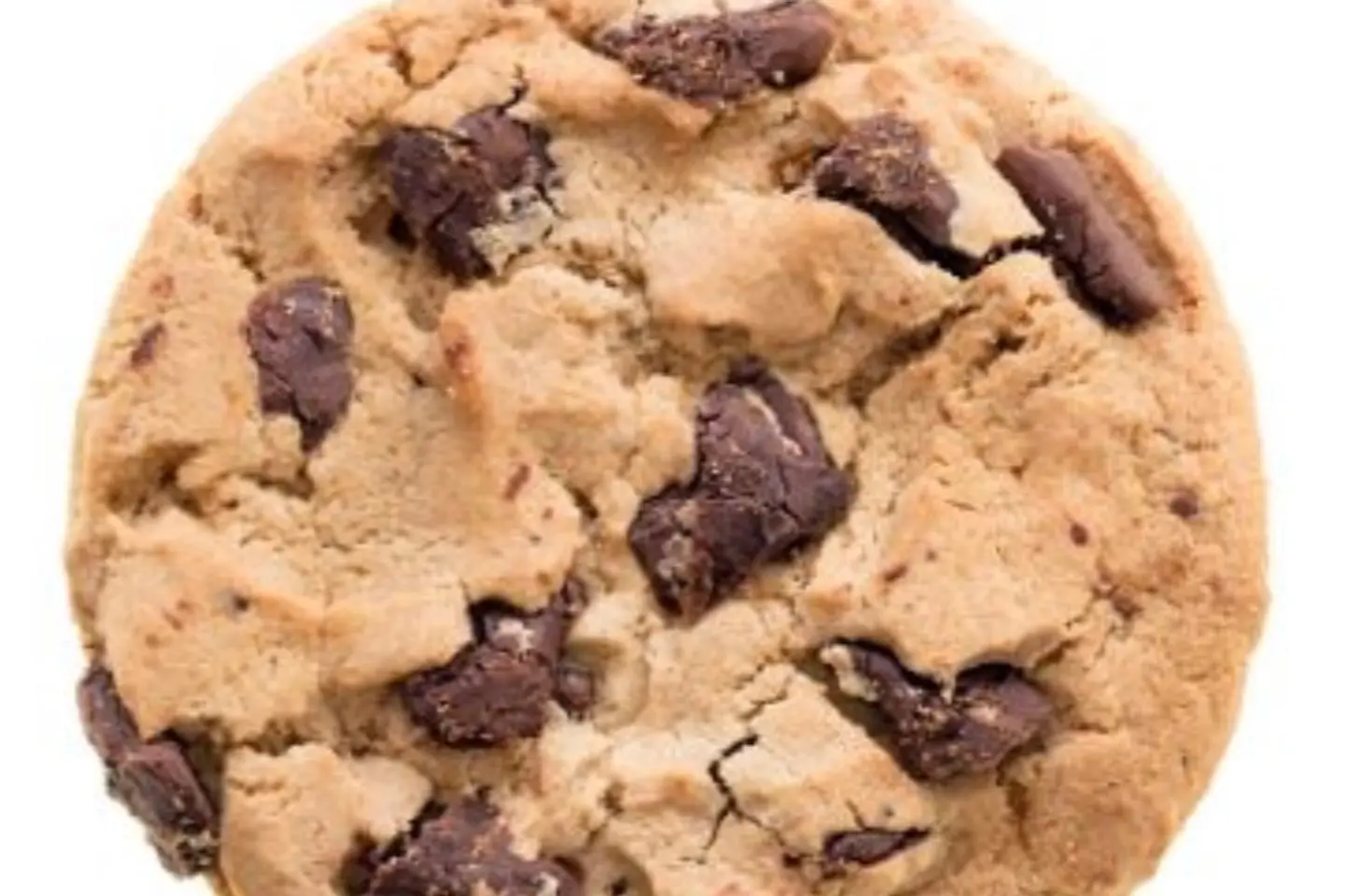 كوكيز شكولا بلجيكي