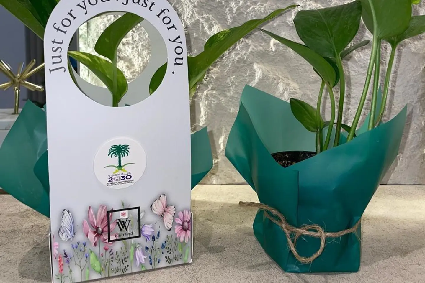 National Day Plant Distributions
