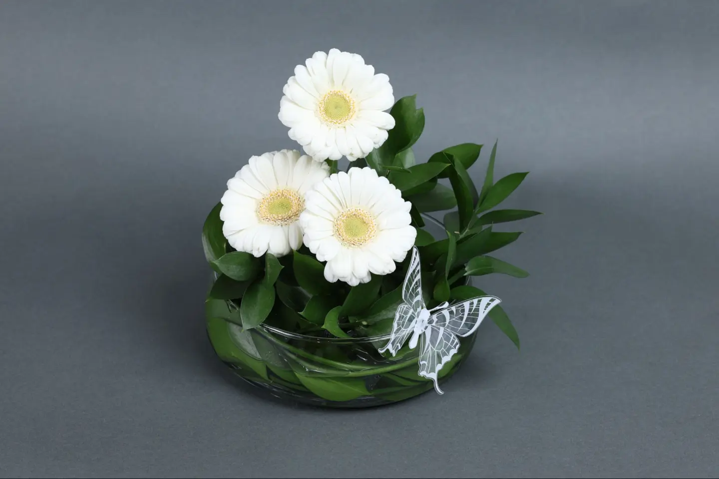 فازة زهور جيرييرا