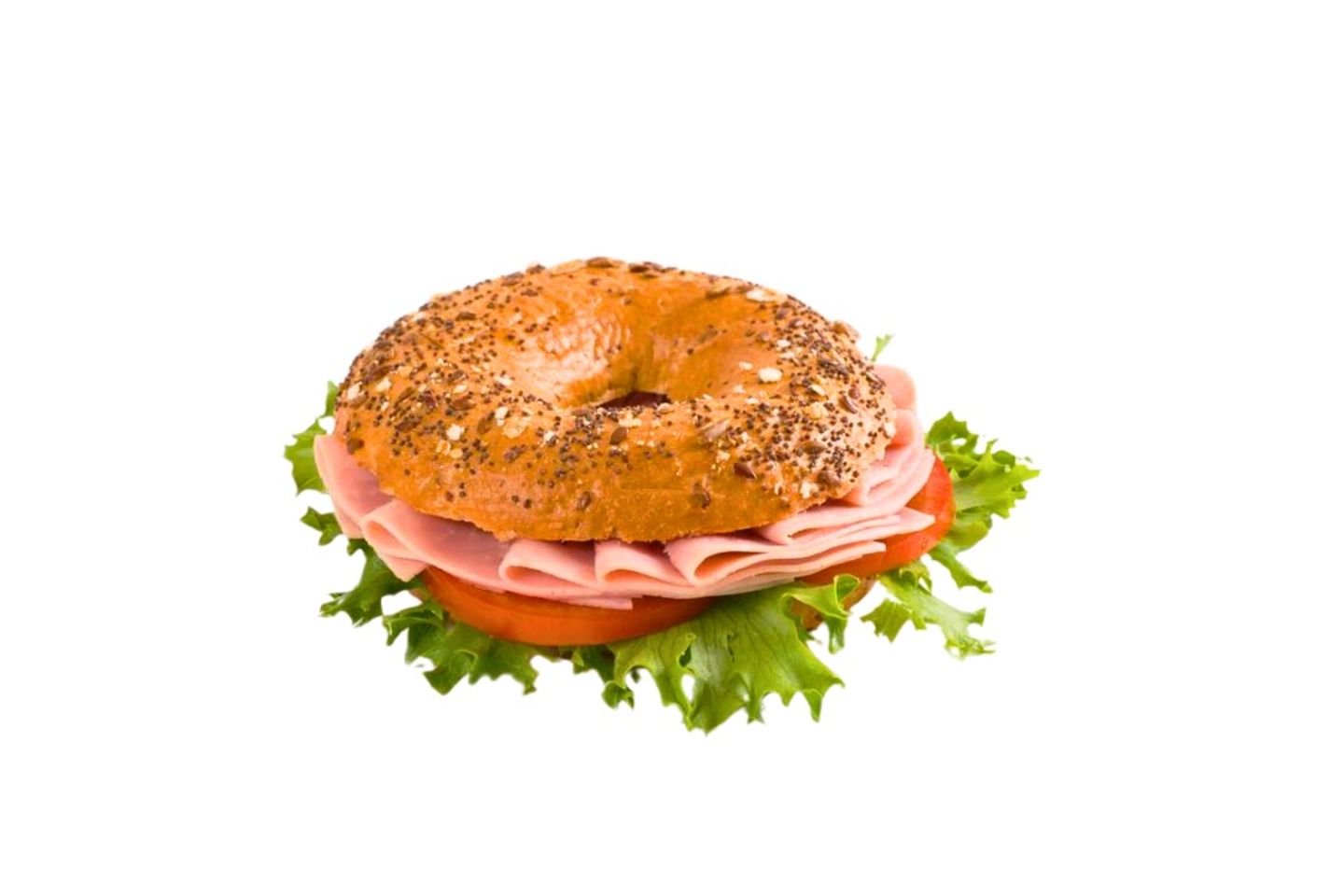 Beagle Mortadella