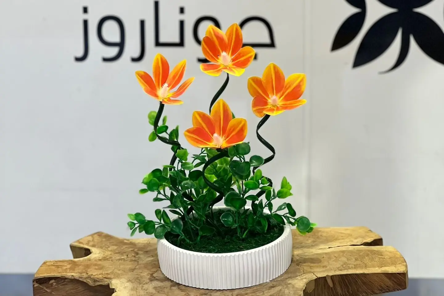 فازات جوناروز ٨