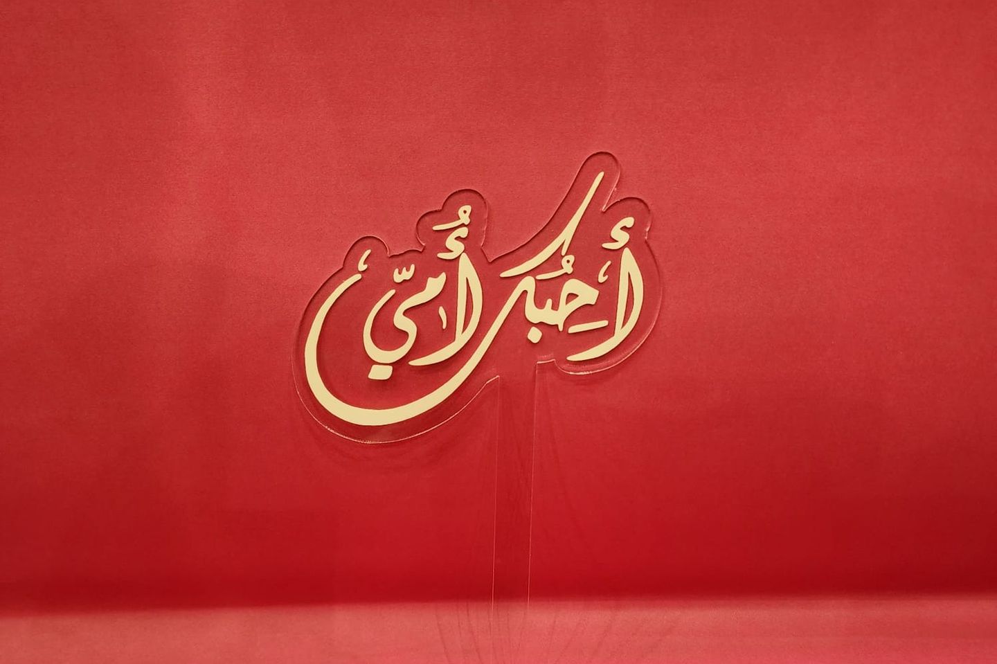 تغريسة يوم الام ٢