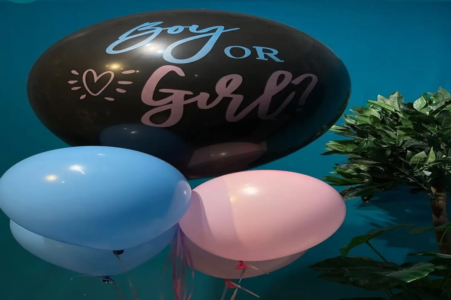 بالون جنس الجنين