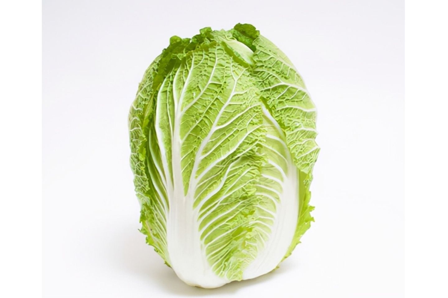 Cabbage