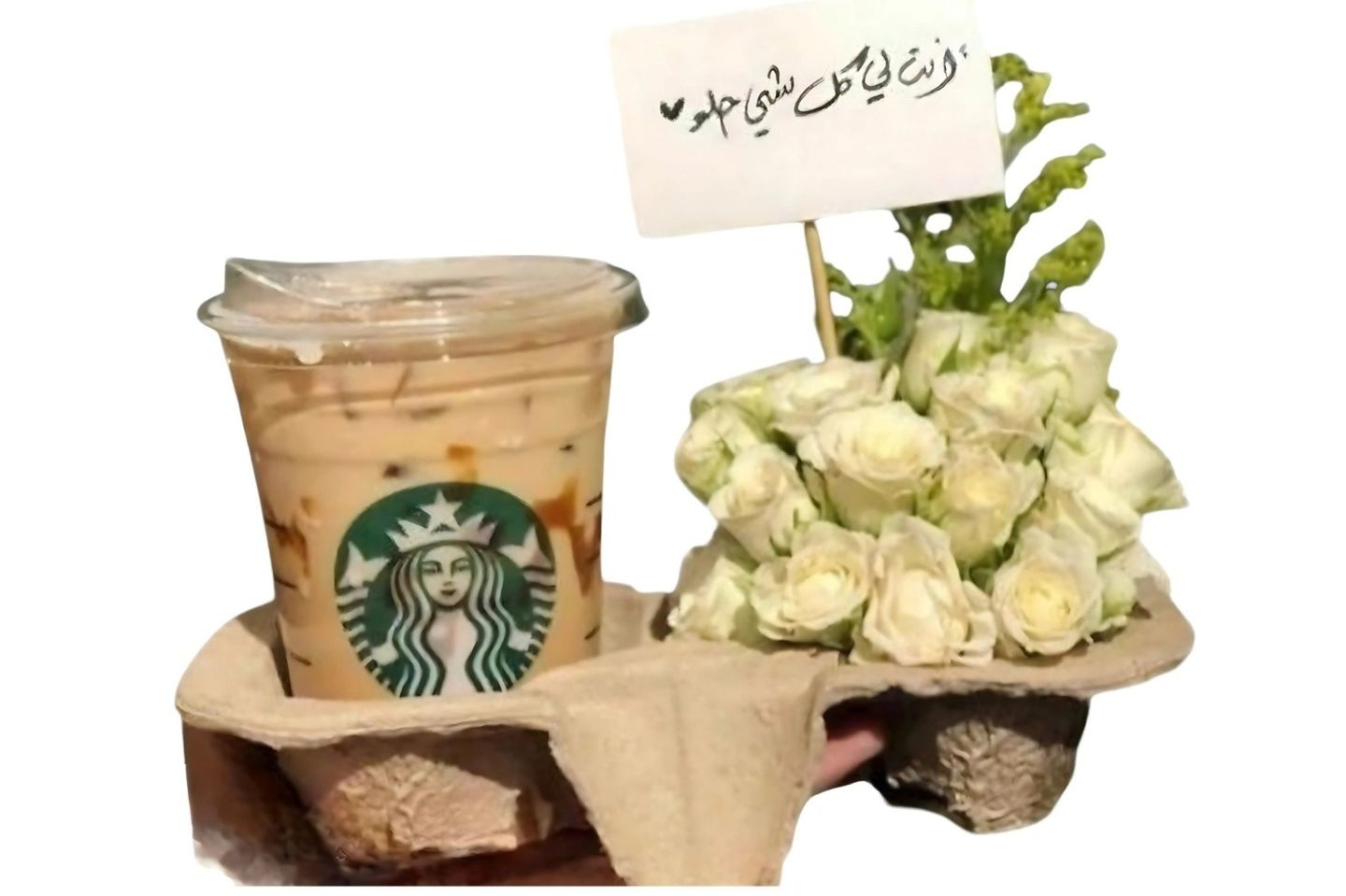 تنسيق ورد جوري ابيض مع قهوة ستاربكس