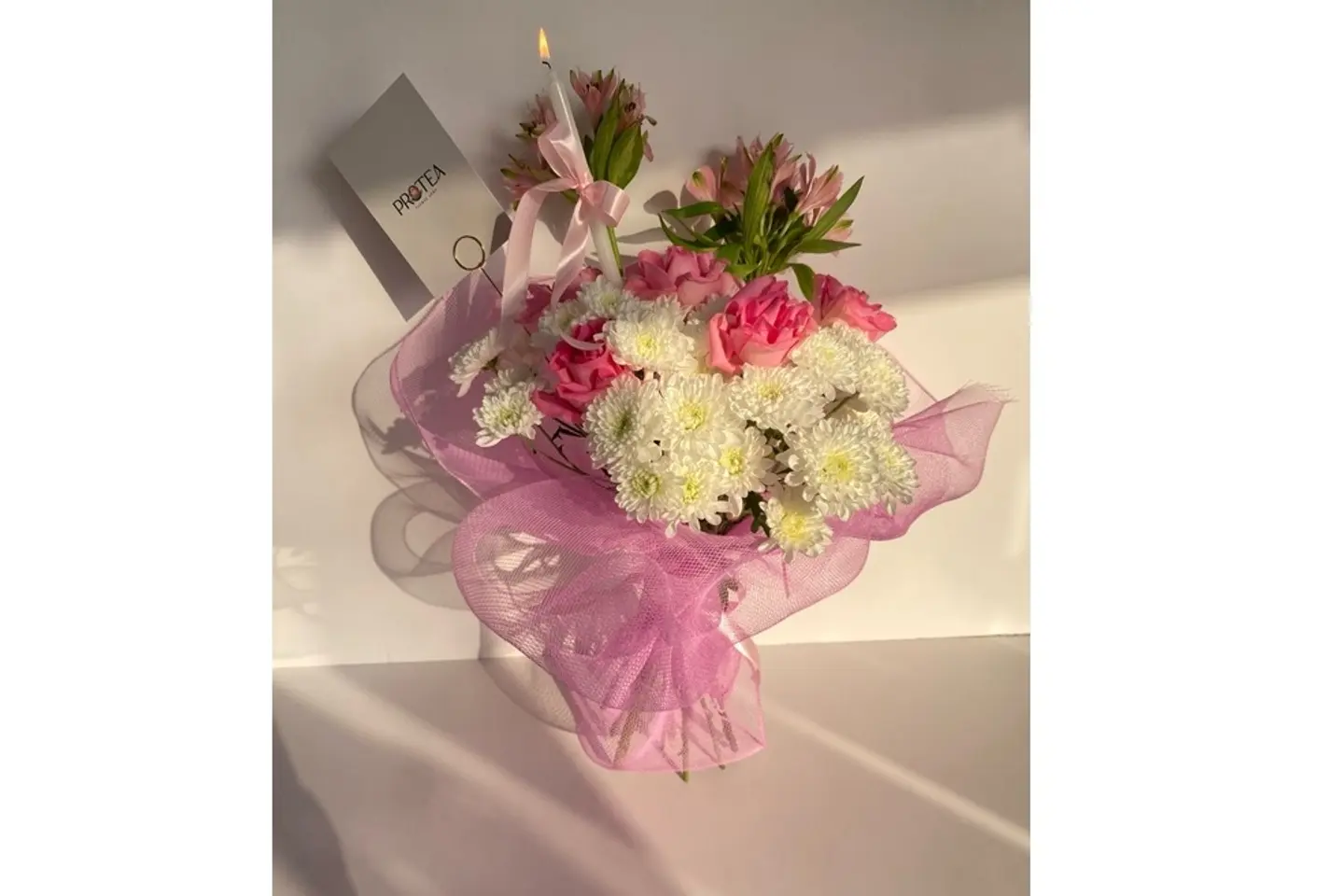 Protea 19