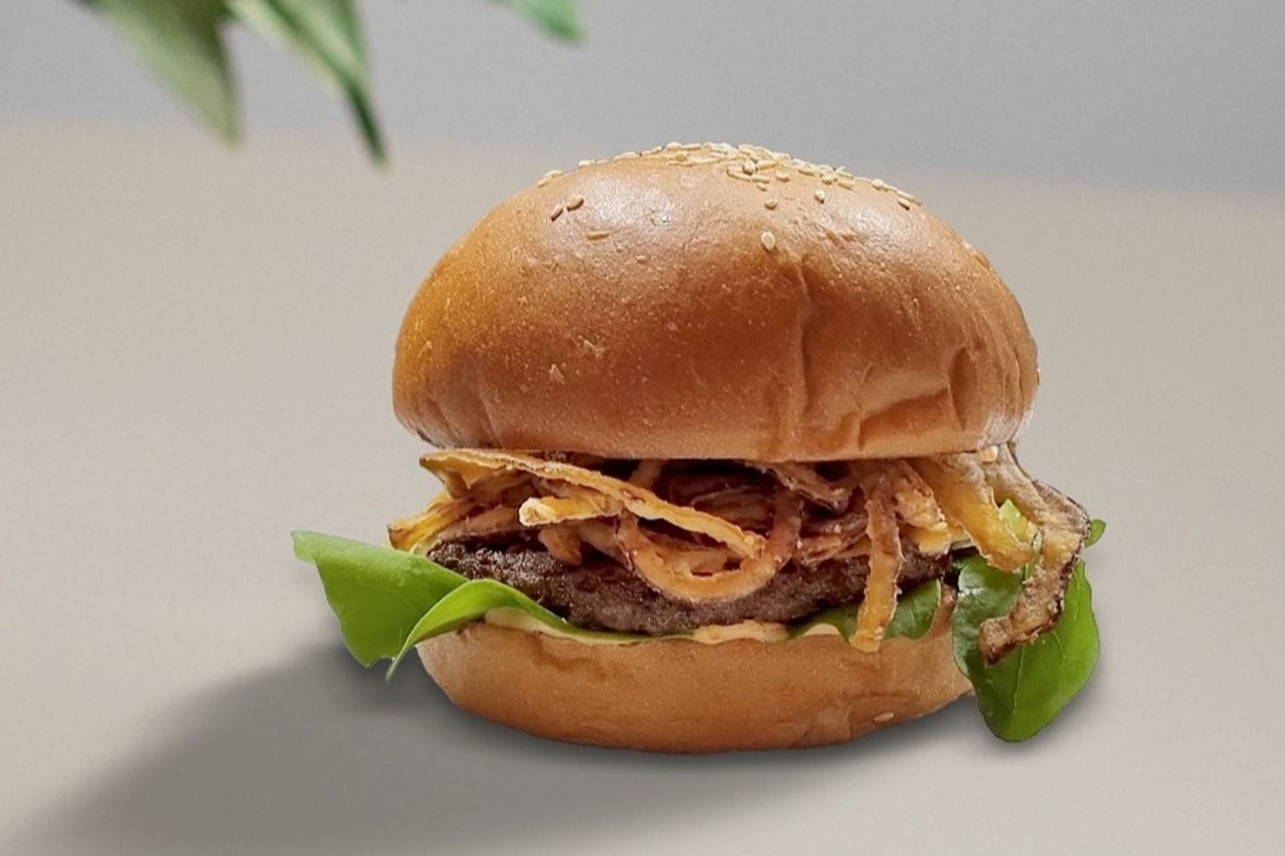 Italian Burger