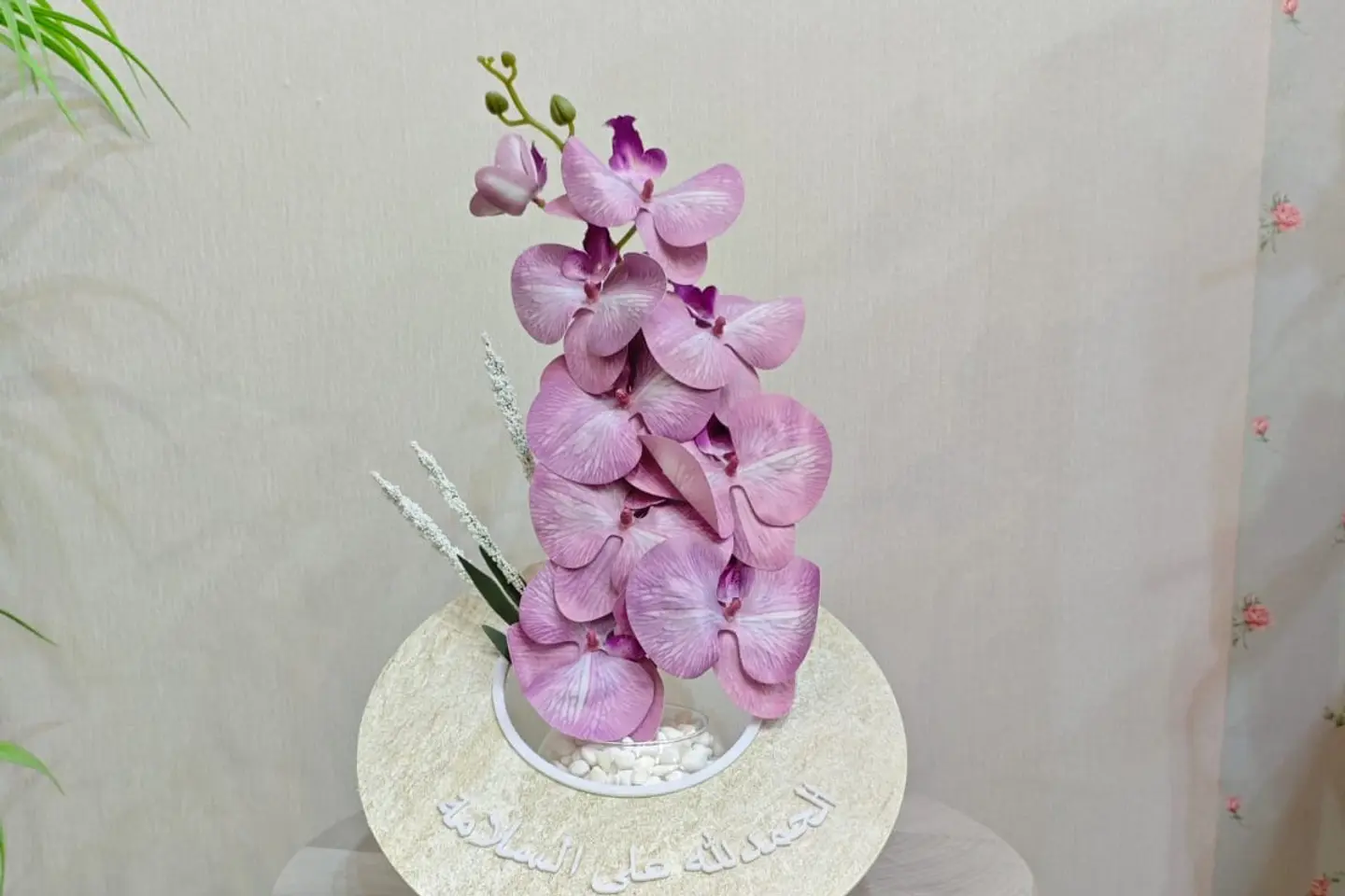 فازه ورد موف