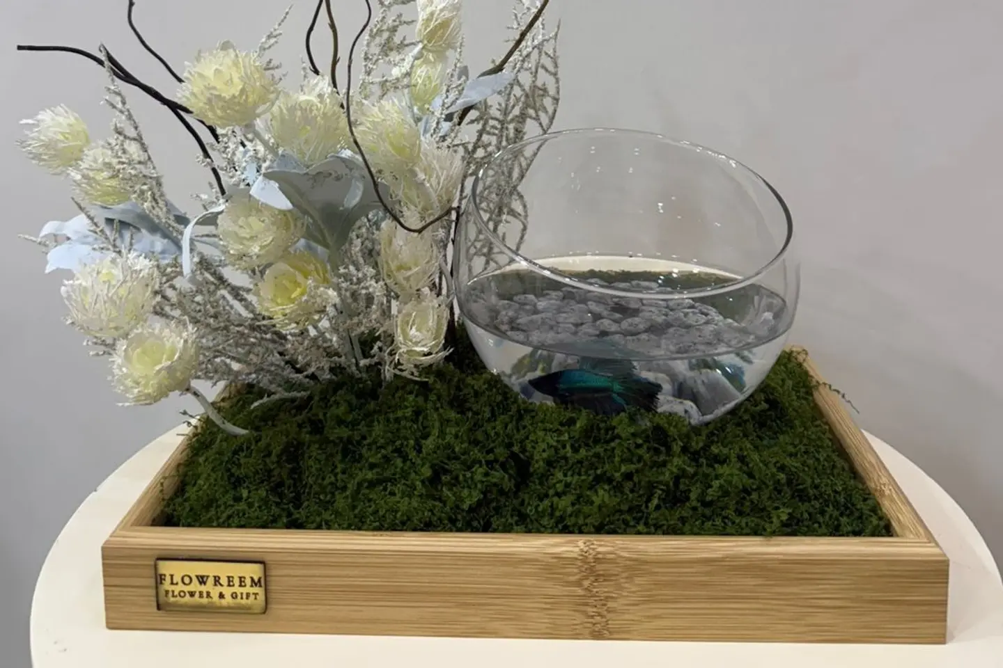 A Fish That Carries Hope And Happiness