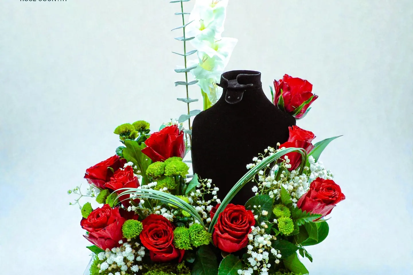 حامل شبكة كوين