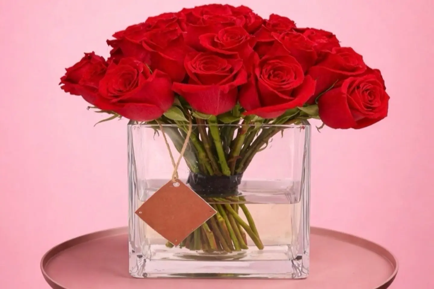 فازة عشق الأحمر