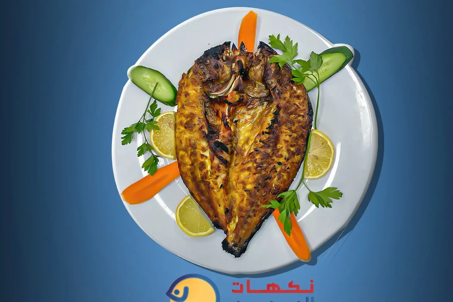 دنيس - 480 الى 600 جرام