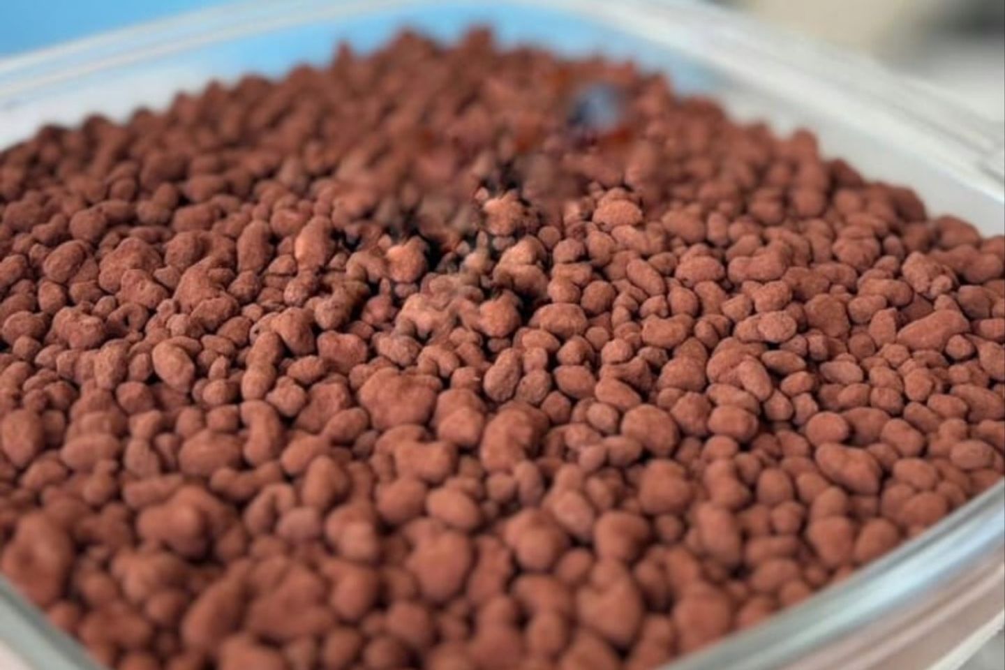 Choco Crunchy Cake