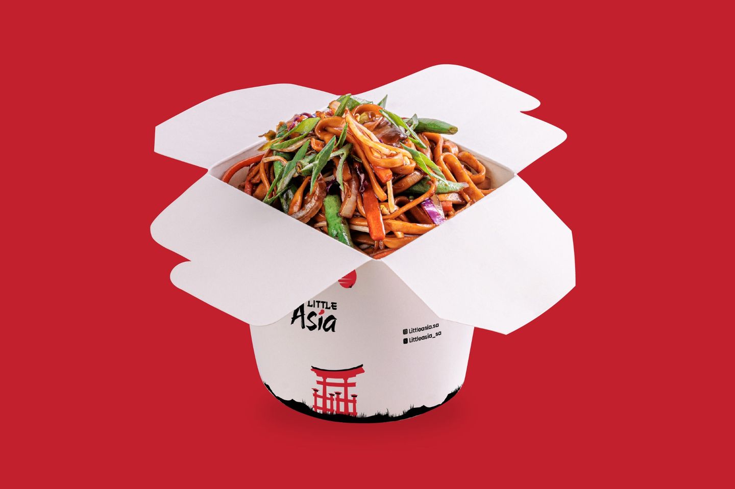 Vegetable Hakka Noodles