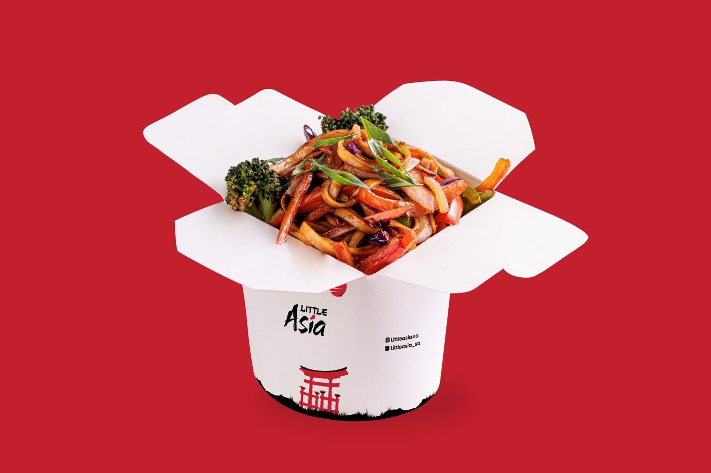 Stir Fry Noodles