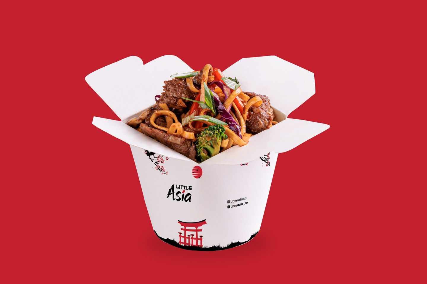 Beef Stir Fry Noodles