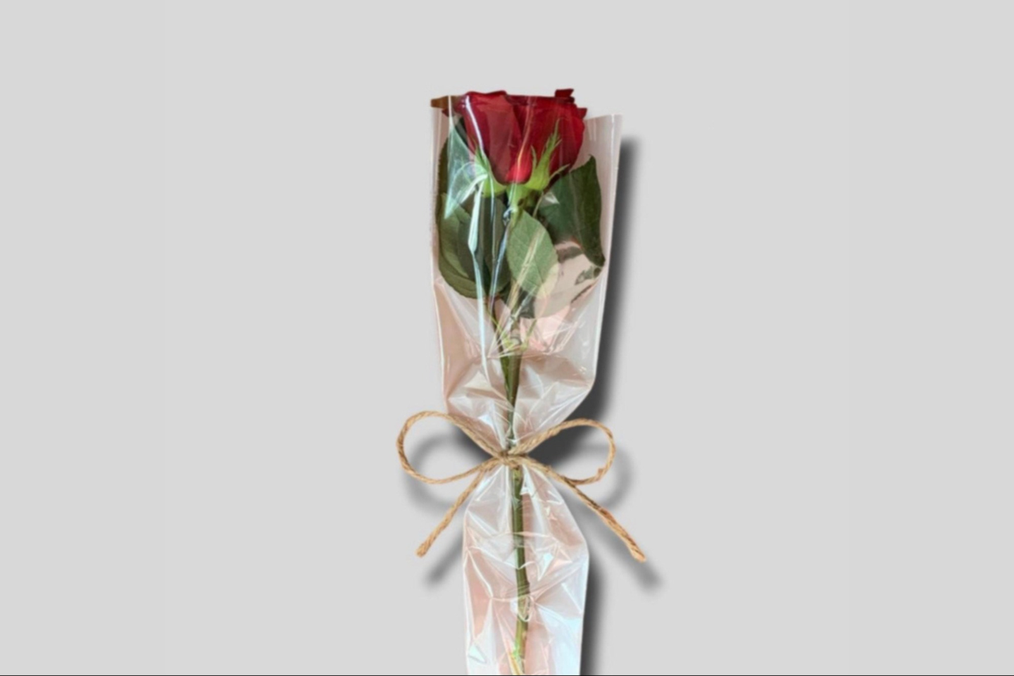 توزيعات ٧