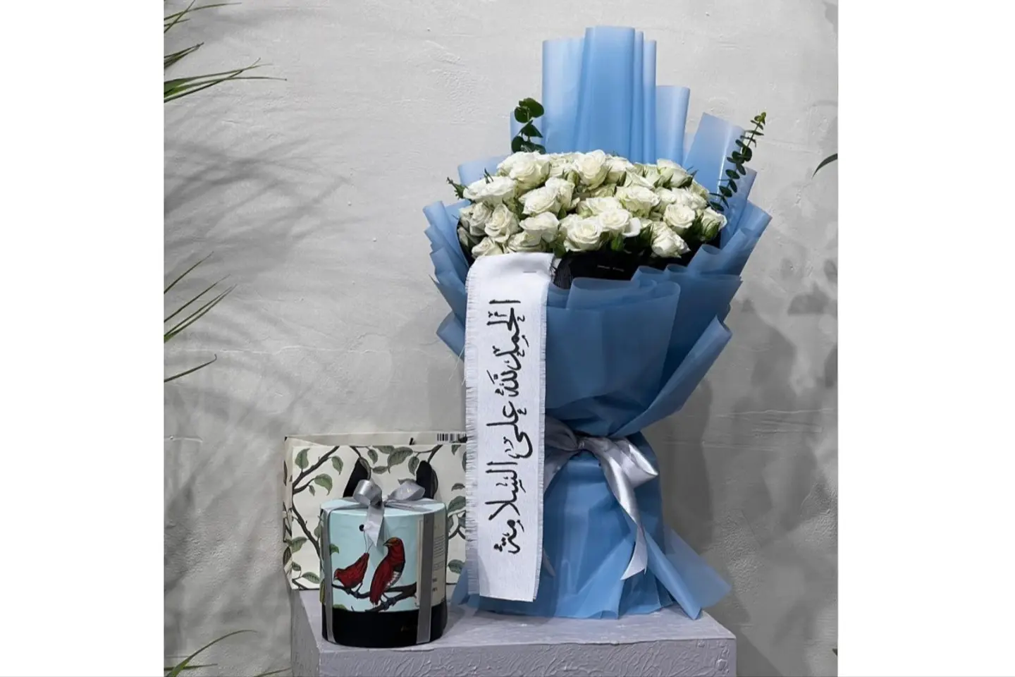 بكج السلامة شوكلاتة انوش