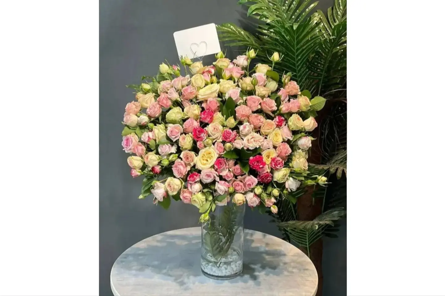 فازة نسمة ورد