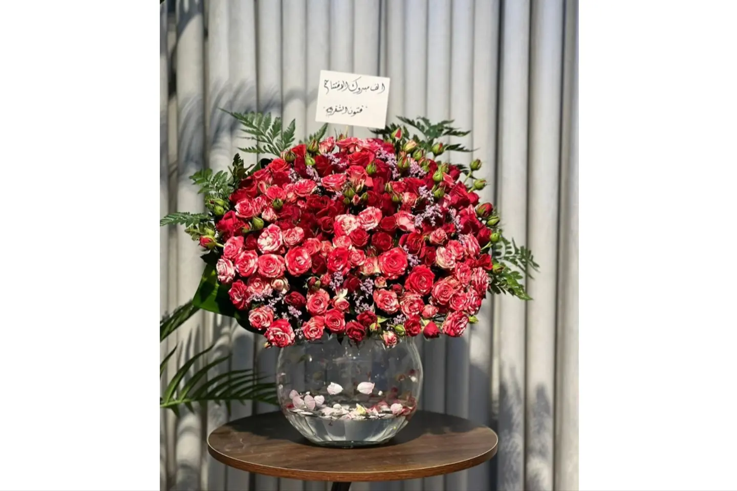 فازة الف مبروك