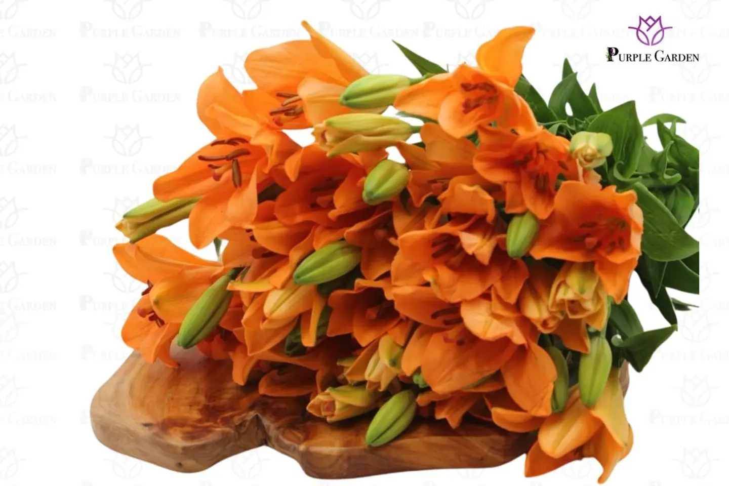 ليليوم اورنج