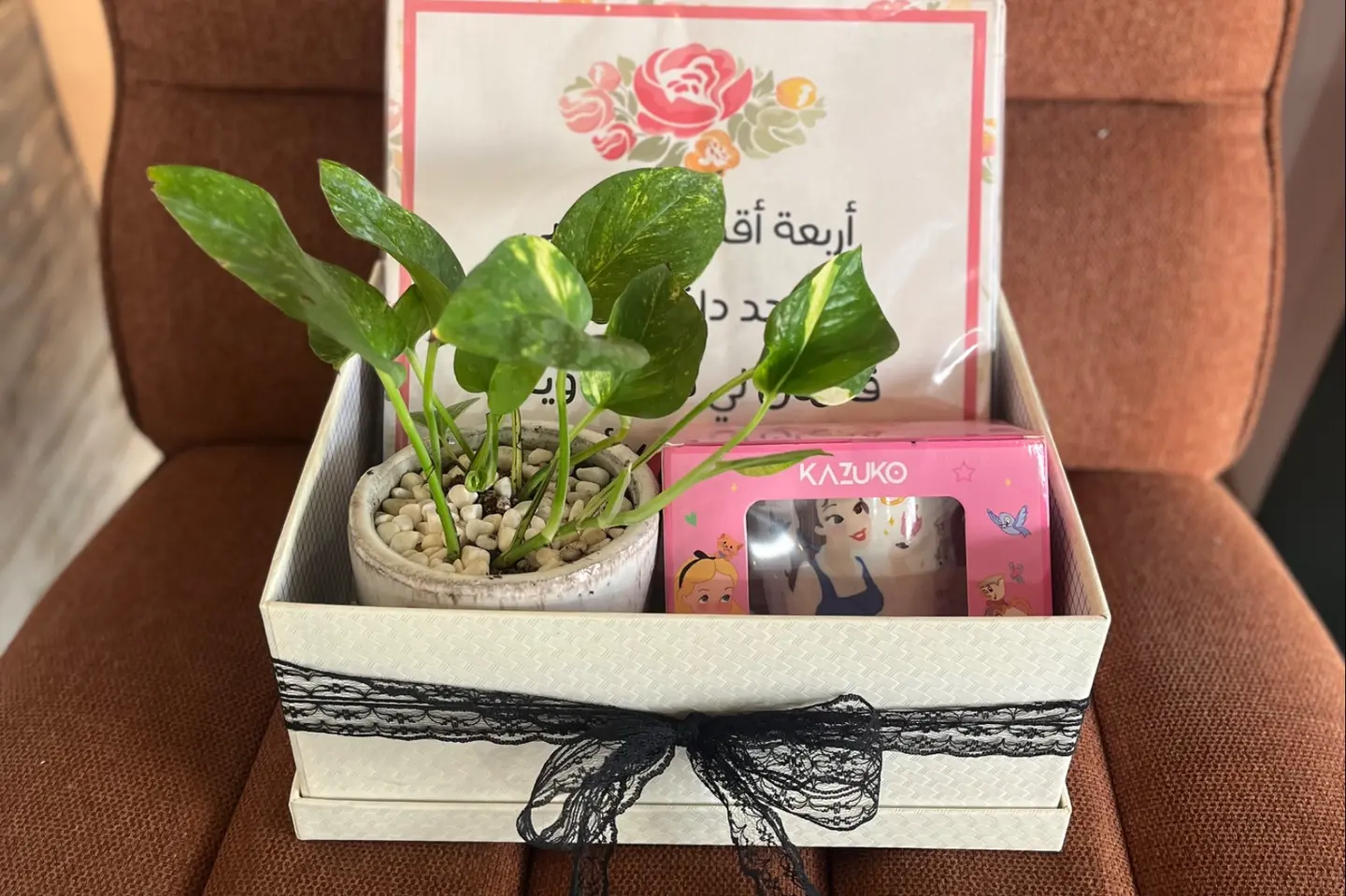 بكج مكتبي لطيف