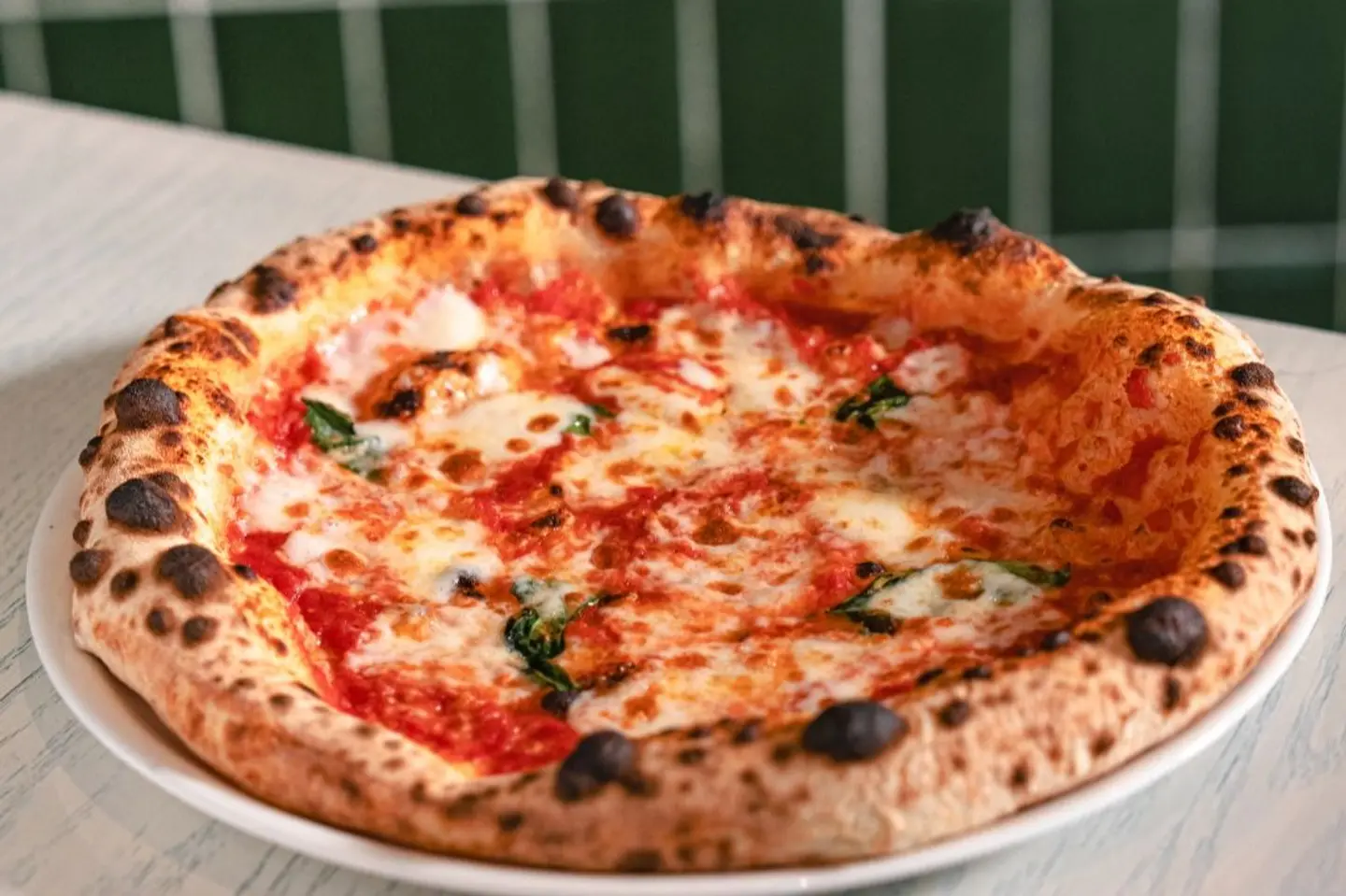 Margherita Pizza