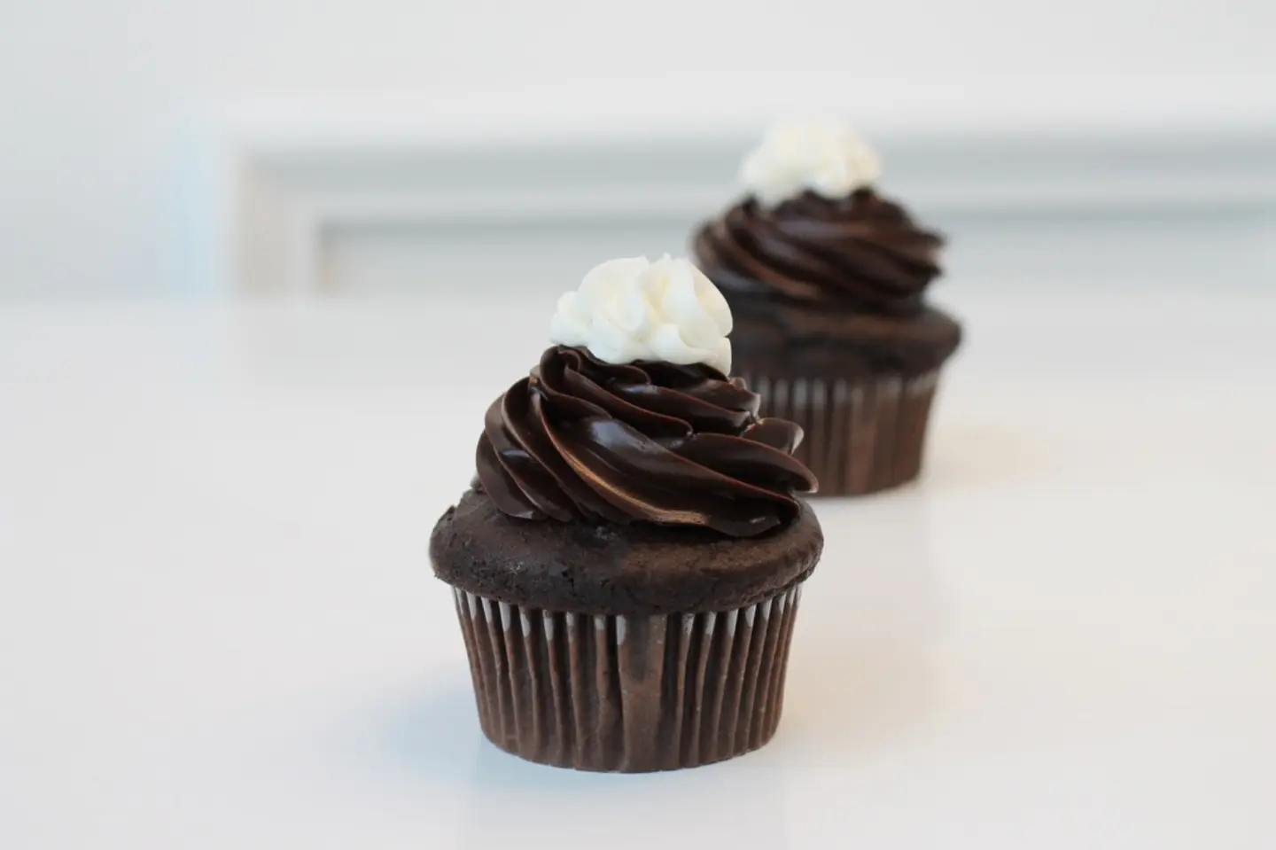 فودج ترافيل كب كيك - الحجم العادي