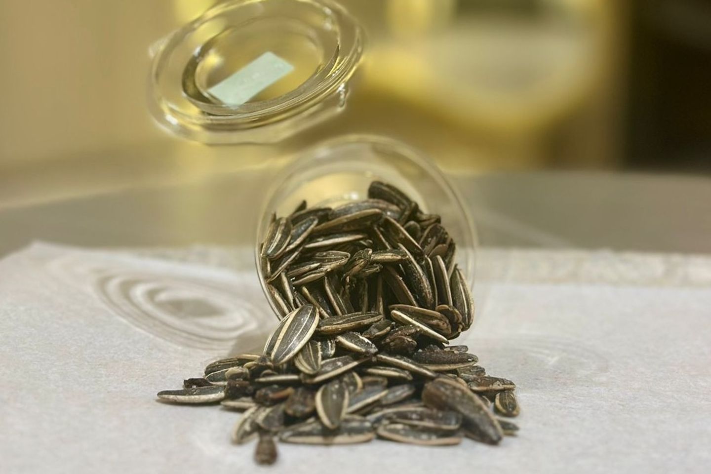 Seeds
