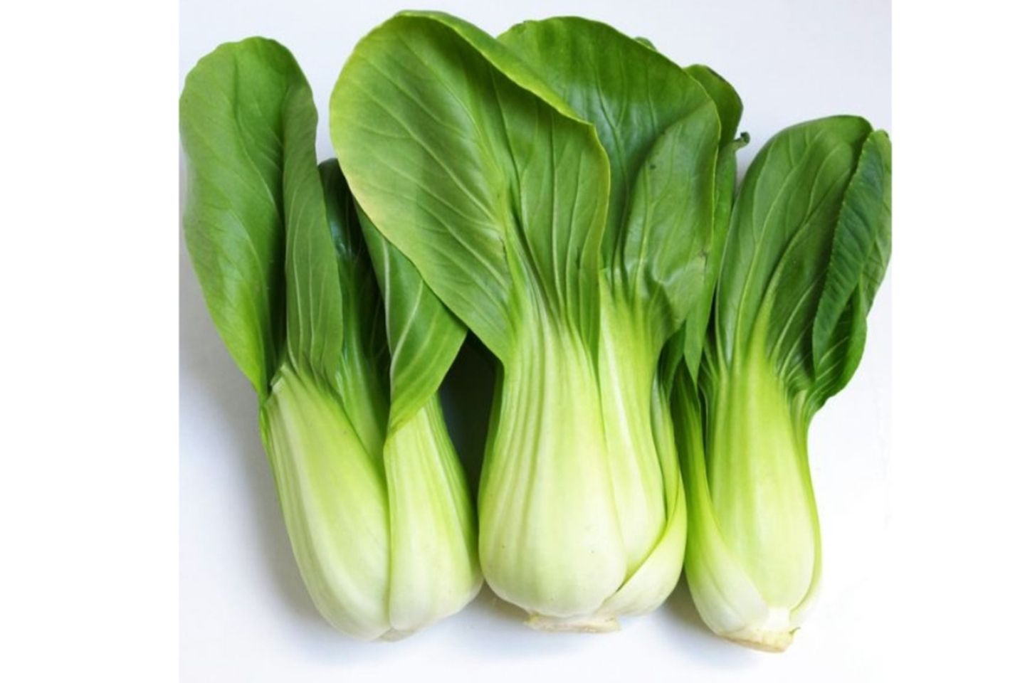 Small Cabbage
