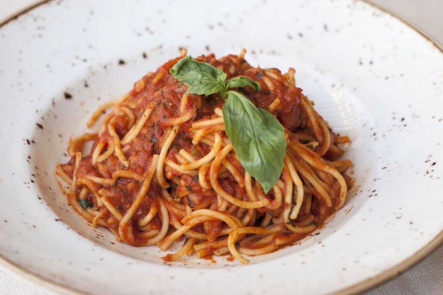 Spaghetti Sauce